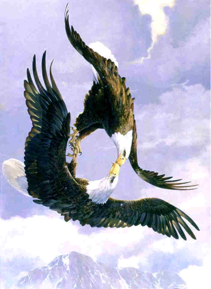 eaglelov